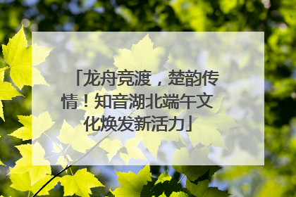 龙舟竞渡，楚韵传情！知音湖北端午文化焕发新活力