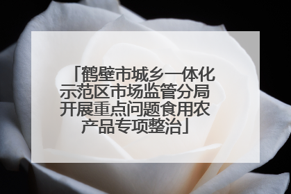 鹤壁市城乡一体化示范区市场监管分局开展重点问题食用农产品专项整治