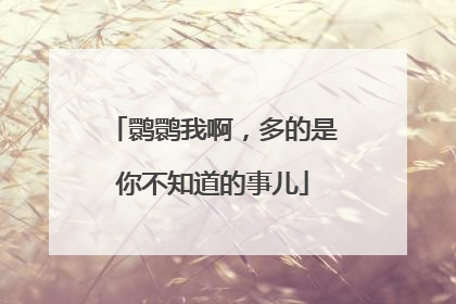 鹮鹮我啊，多的是你不知道的事儿