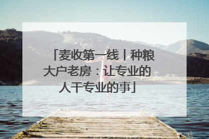 麦收第一线丨种粮大户老房：让专业的人干专业的事