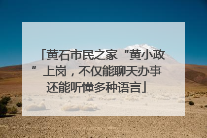 黄石市民之家“黄小政”上岗，不仅能聊天办事还能听懂多种语言