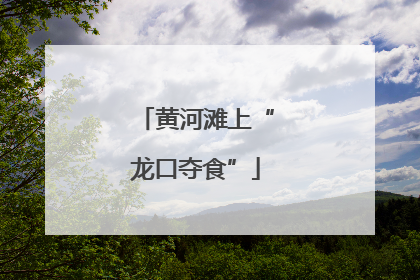 黄河滩上“龙口夺食”