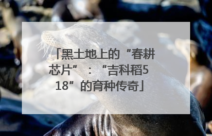 黑土地上的“春耕芯片”：“吉科稻518”的育种传奇