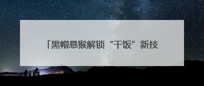 黑帽悬猴解锁“干饭”新技能，原来是园林师的神操作