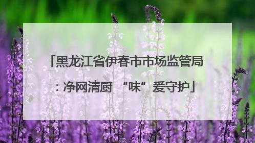 黑龙江省伊春市市场监管局：净网清厨 “味”爱守护