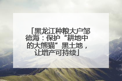黑龙江种粮大户邹德海：保护“耕地中的大熊猫”黑土地，让增产可持续