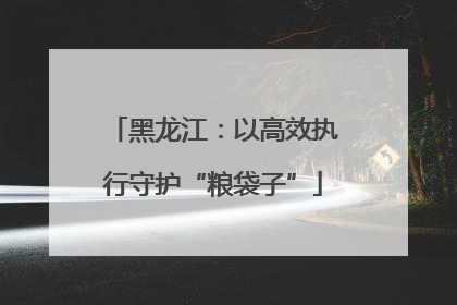 黑龙江：以高效执行守护“粮袋子”