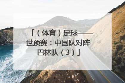 （体育）足球——世预赛：中国队对阵巴林队（3）