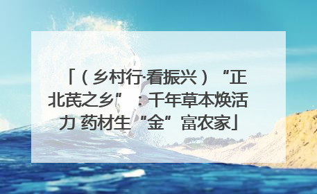 （乡村行·看振兴）“正北芪之乡”：千年草本焕活力 药材生“金”富农家