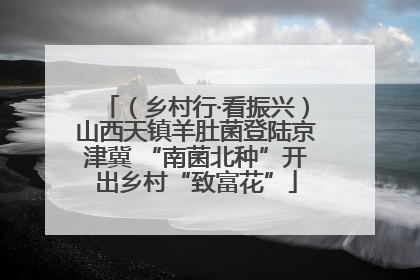 （乡村行·看振兴）山西天镇羊肚菌登陆京津冀 “南菌北种”开出乡村“致富花”