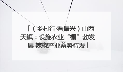 （乡村行·看振兴）山西天镇：设施农业“棚”勃发展 辣椒产业蓄势待发