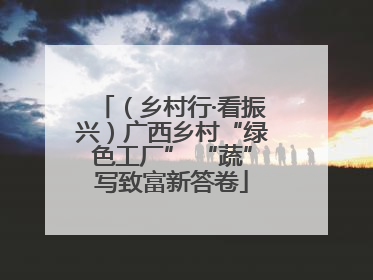 （乡村行·看振兴）广西乡村“绿色工厂” “蔬”写致富新答卷