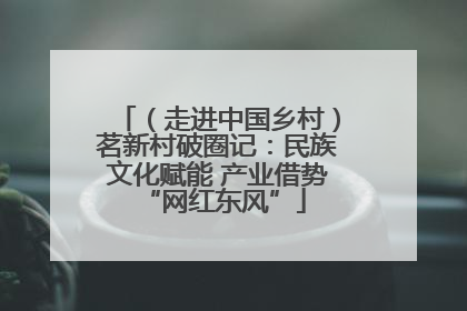 （走进中国乡村）茗新村破圈记：民族文化赋能 产业借势 “网红东风”