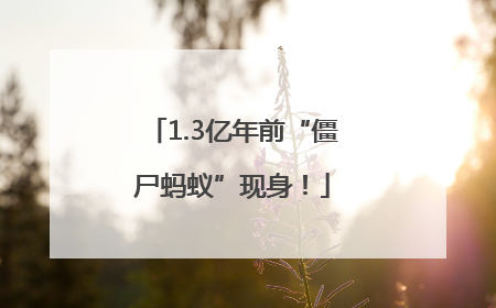 1.3亿年前“僵尸蚂蚁”现身！