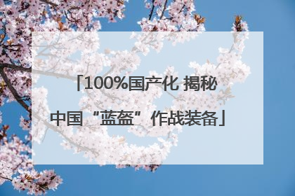 100%国产化 揭秘中国“蓝盔”作战装备