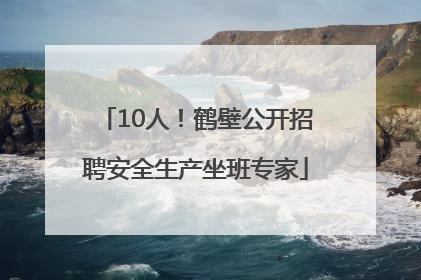 10人！鹤壁公开招聘安全生产坐班专家