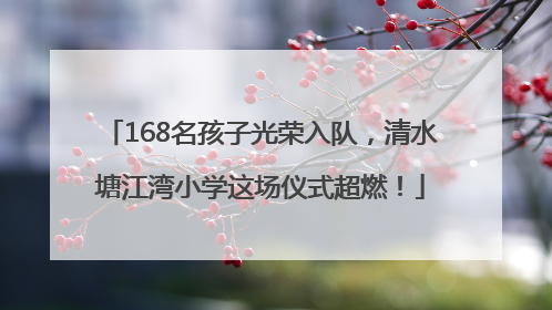 168名孩子光荣入队，清水塘江湾小学这场仪式超燃！