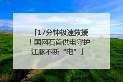 17分钟极速救援！国网石首供电守护江豚不断“电”