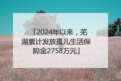 2024年以来，芜湖累计发放孤儿生活保障金2758万元