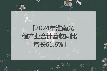 2024年淮南光储产业合计营收同比增长61.6%