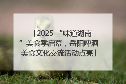 2025 “味道湖南”美食季启幕，岳阳啤酒美食文化交流活动点亮