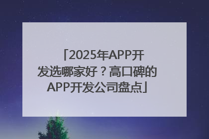 2025年APP开发选哪家好？高口碑的APP开发公司盘点