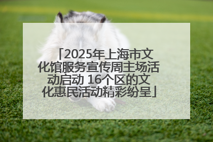 2025年上海市文化馆服务宣传周主场活动启动 16个区的文化惠民活动精彩纷呈