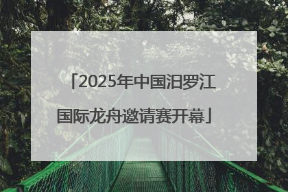 2025年中国汨罗江国际龙舟邀请赛开幕