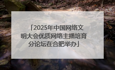 2025年中国网络文明大会优质网络主播培育分论坛在合肥举办