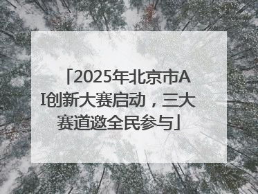 2025年北京市AI创新大赛启动，三大赛道邀全民参与