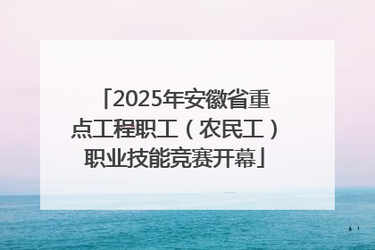 2025年安徽省重点工程职工（农民工）职业技能竞赛开幕