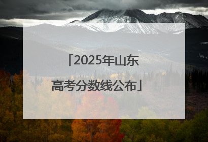 2025年山东高考分数线公布
