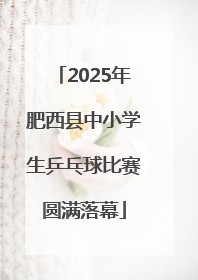 2025年肥西县中小学生乒乓球比赛圆满落幕