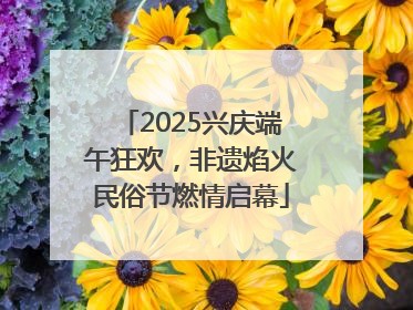 2025兴庆端午狂欢，非遗焰火民俗节燃情启幕