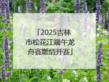 2025吉林市松花江端午龙舟赛燃情开赛