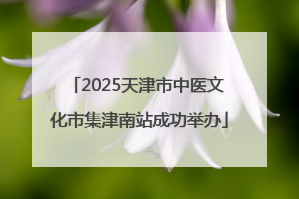 2025天津市中医文化市集津南站成功举办