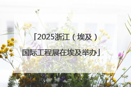 2025浙江（埃及）国际工程展在埃及举办
