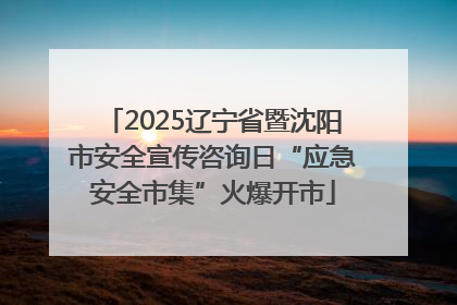 2025辽宁省暨沈阳市安全宣传咨询日“应急安全市集”火爆开市