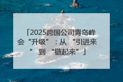 2025跨国公司青岛峰会“升级”：从 “引进来” 到 “链起来”