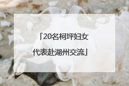 20名柯坪妇女代表赴湖州交流