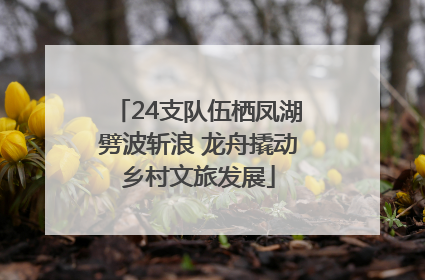 24支队伍栖凤湖劈波斩浪 龙舟撬动乡村文旅发展