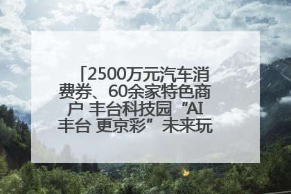 2500万元汽车消费券、60余家特色商户 丰台科技园“AI丰台 更京彩”未来玩家市集活动正式开幕