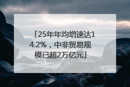 25年年均增速达14.2%，中非贸易规模已超2万亿元
