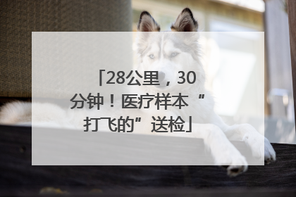 28公里，30分钟！医疗样本“打飞的”送检