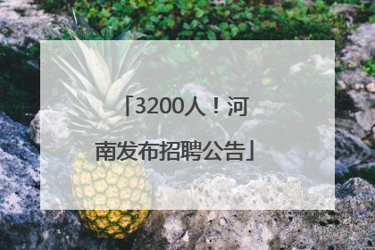 3200人！河南发布招聘公告
