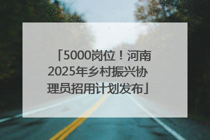 5000岗位！河南2025年乡村振兴协理员招用计划发布