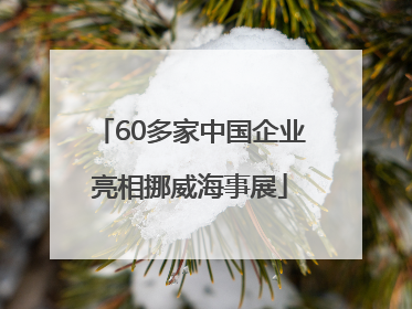60多家中国企业亮相挪威海事展
