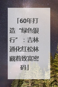 60年打造“绿色银行”：吉林通化红松林藏着致富密码