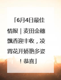 6月4日最佳情报｜麦田金穗飘香迎丰收，凌霄花开娇艳多姿！恭喜