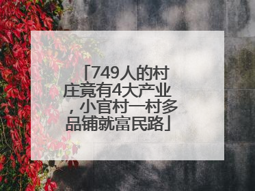 749人的村庄竟有4大产业，小官村一村多品铺就富民路